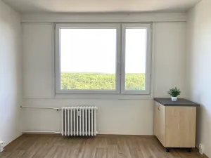 Pronájem bytu 1+1, Litvínov, Mládežnická, 38 m2