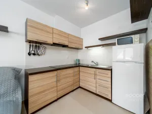 Prodej bytu 1+kk, Žacléř - Prkenný Důl, 44 m2