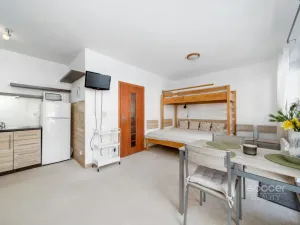 Prodej bytu 1+kk, Žacléř - Prkenný Důl, 44 m2