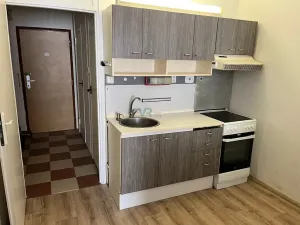 Prodej bytu 1+kk, České Budějovice, V. Volfa, 31 m2