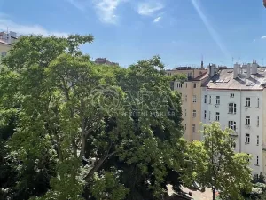 Pronájem bytu 2+1, Praha - Vinohrady, Římská, 85 m2