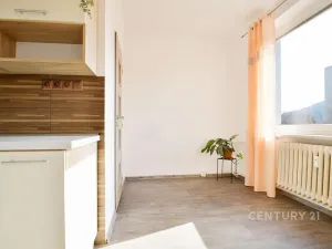 Prodej bytu 2+1, Děčín, Jezdecká, 57 m2