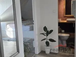 Prodej bytu 4+1, Opava - Předměstí, Pekařská, 115 m2