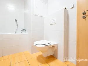 Pronájem bytu 1+kk, Praha, Hořínecká, 39 m2