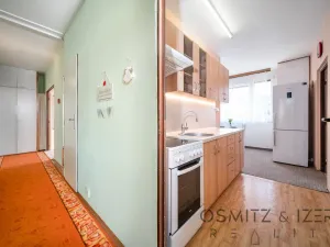 Prodej bytu 3+1, Litoměřice - Předměstí, Družstevní, 70 m2