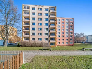 Prodej bytu 3+1, Litoměřice - Předměstí, Družstevní, 70 m2