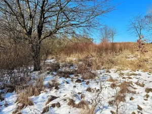 Prodej pozemku pro bydlení, Letovice, 1845 m2