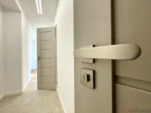 Prodej bytu 2+1, Olomouc - Nová Ulice, Foerstrova, 50 m2