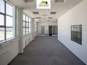 Pronájem výrobních prostor, Mladá Boleslav - Bezděčín, 2249 m2