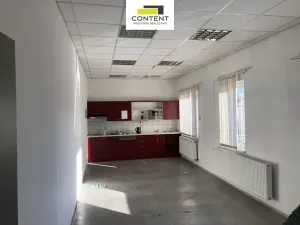 Pronájem skladu, Lysá nad Labem - Litol, Mírová, 4726 m2