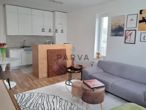 Pronájem bytu 2+kk, Plzeň - Valcha, Špačková, 52 m2