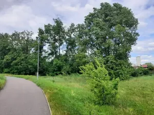 Prodej lesa, Pardubice, 2461 m2