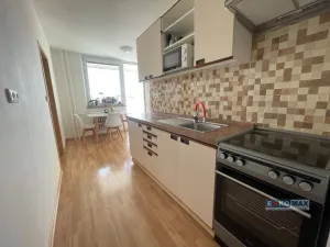 Pronájem bytu 3+1, Břeclav, J. Palacha, 68 m2