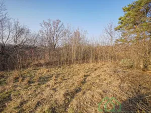 Prodej pozemku pro bydlení, Bernartice - Buková, 15640 m2