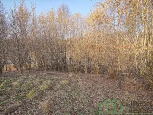 Prodej pozemku pro bydlení, Bernartice - Buková, 15640 m2