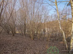 Prodej pozemku pro bydlení, Bernartice - Buková, 15640 m2