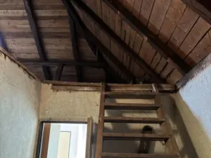 Prodej rodinného domu, Koryčany, Svatoplukova, 300 m2