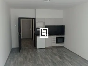 Pronájem bytu 1+kk, Olomouc, Wellnerova, 35 m2