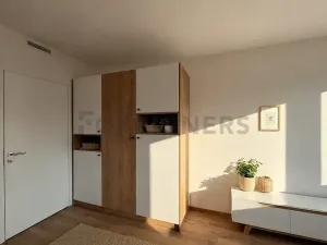 Pronájem bytu 1+kk, Brno, Fryčajova, 30 m2