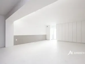 Prodej rodinného domu, Moravany, V Jámách, 382 m2