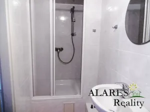 Prodej chalupy, Šebířov, 160 m2