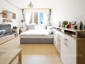 Prodej bytu 1+1, Žatec, Lípová, 40 m2