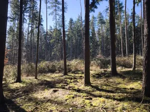 Prodej rodinného domu, Starý Plzenec, 80 m2