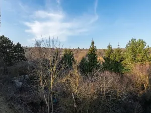 Prodej bytu 3+kk, Brno, Ondřeje Sekory, 98 m2