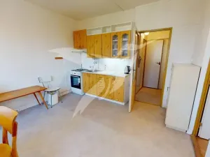Pronájem bytu 1+1, Plzeň, Skupova, 38 m2
