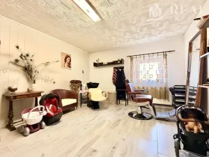 Prodej rodinného domu, Hrobčice - Razice, 244 m2