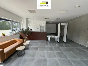 Pronájem skladu, Cheb, Podhradská, 11310 m2