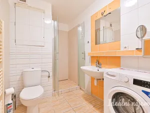Pronájem bytu 1+kk, Brno - Staré Brno, Trýbova, 34 m2