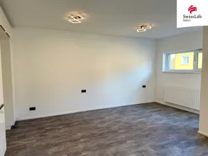 Pronájem bytu 1+kk, Plzeň, Pilařská, 45 m2