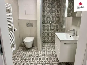 Pronájem bytu 1+kk, Plzeň, Pilařská, 45 m2