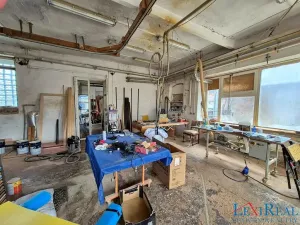 Prodej výrobních prostor, Kasejovice, 1980 m2