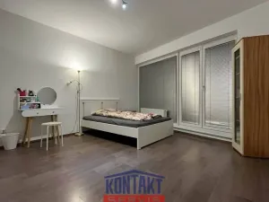 Pronájem bytu 1+kk, České Budějovice, Nová, 53 m2