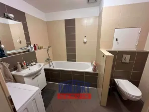 Pronájem bytu 1+kk, České Budějovice, Nová, 53 m2