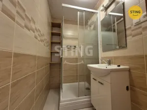 Pronájem bytu 1+kk, Ostrava, Čujkovova, 28 m2