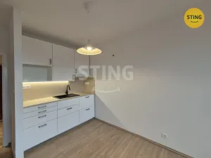 Pronájem bytu 1+kk, Ostrava, Čujkovova, 28 m2