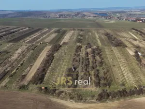 Prodej pozemku, Brumovice, 4065 m2