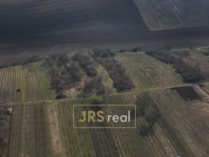 Prodej pozemku, Brumovice, 4065 m2