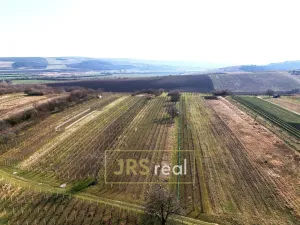 Prodej pozemku, Brumovice, 4065 m2