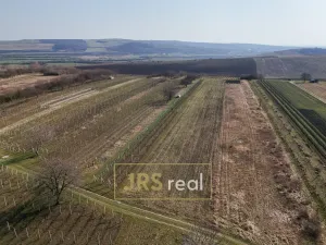 Prodej pozemku, Brumovice, 4065 m2