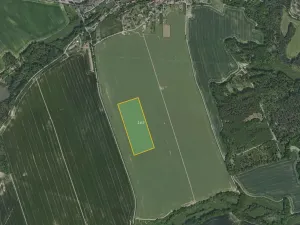 Prodej podílu pole, Chlístovice, 65641 m2
