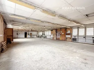 Pronájem výrobních prostor, Praha - Zbraslav, 463 m2