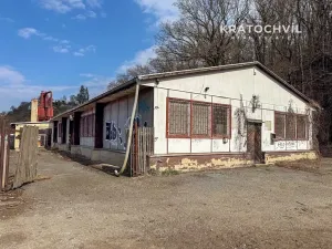 Pronájem výrobních prostor, Praha - Zbraslav, 463 m2