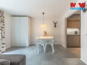 Prodej bytu 1+kk, Janov nad Nisou, 29 m2