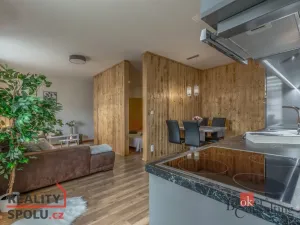 Pronájem bytu 2+kk, Praha - Nusle, U družstva Repo, 51 m2