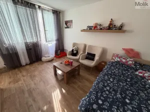 Prodej bytu 1+1, Most, K. H. Borovského, 27 m2