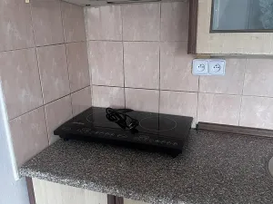 Pronájem bytu 1+1, Roudnice nad Labem, Riegrova, 37 m2